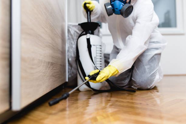 Best Insect Control  in West Crossett, AR