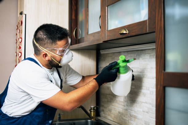 Best Cockroach Control Services  in West Crossett, AR