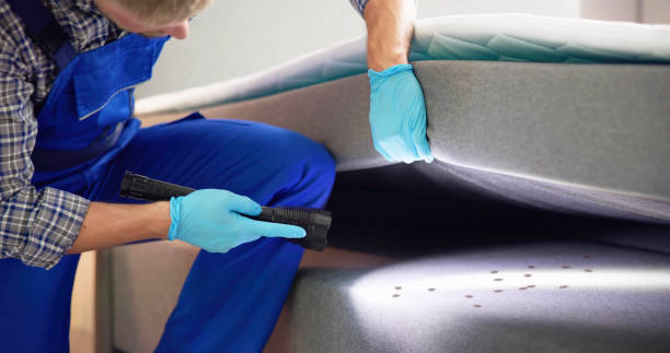 Best Pest Control Near Me  in West Crossett, AR