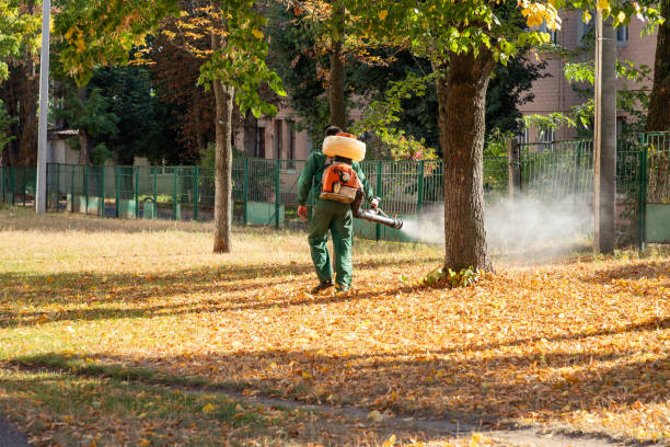 Best Wildlife Control Services  in West Crossett, AR