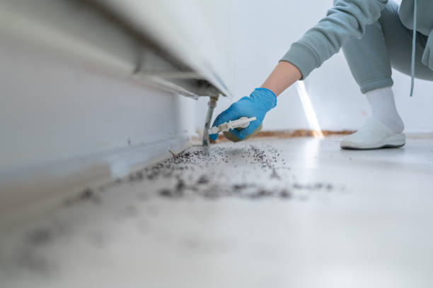 Best Termite Control Services  in West Crossett, AR